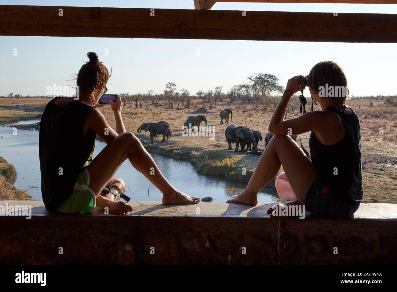 Woman watching and taking pictures of a herd of elephants in the river from a viewpoint, Hwange National Park, Zimbabwe Stock Photo