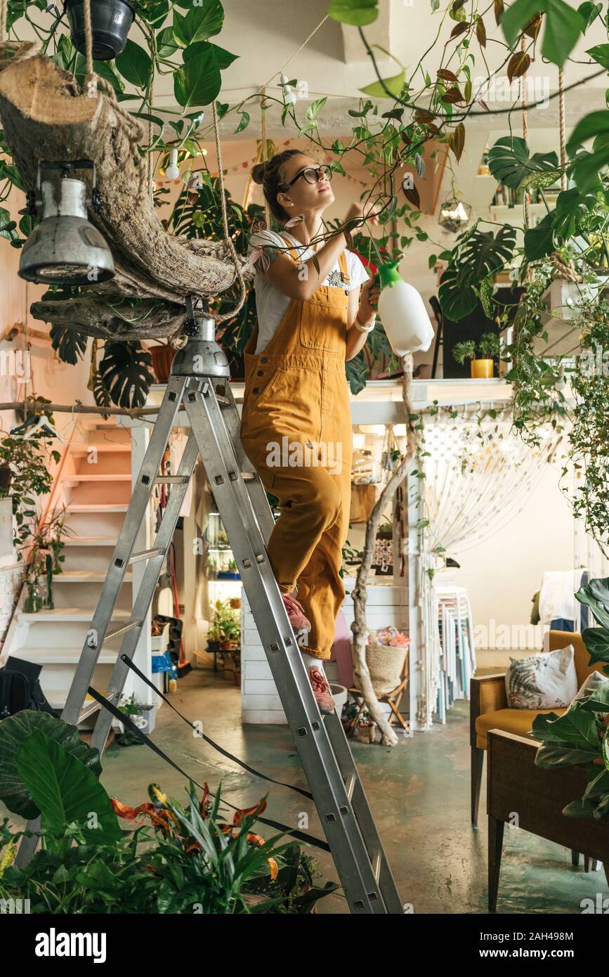 Young woman standing on a ladder caring for plants in a small shop Stock Photo