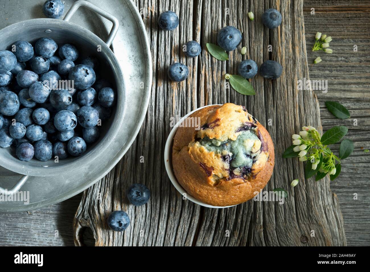 Baking pan with heap of fresh blueberries and single blueberry muffin Stock Photo