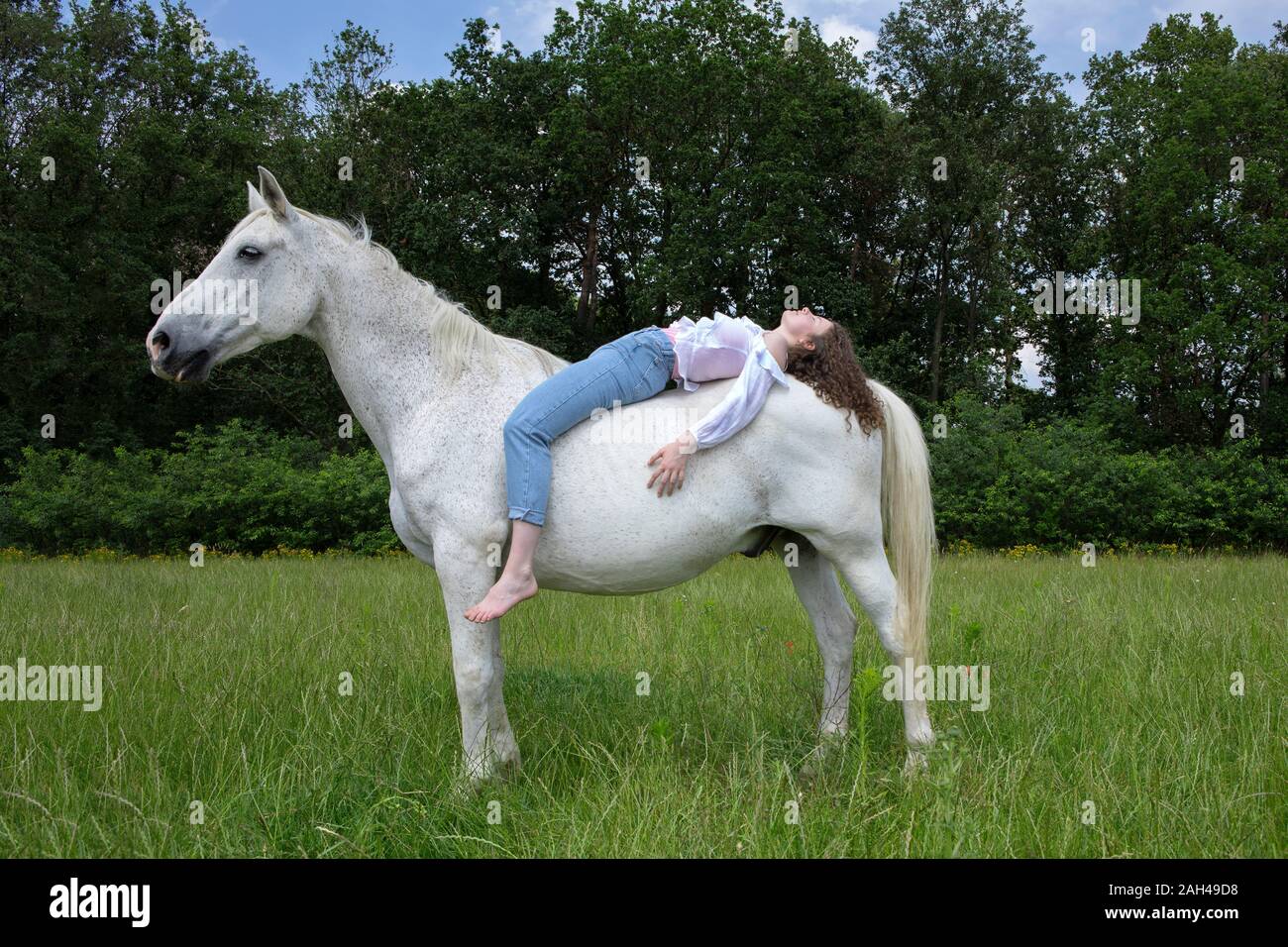 Young woman lying on back of a horse Stock Photo Alamy