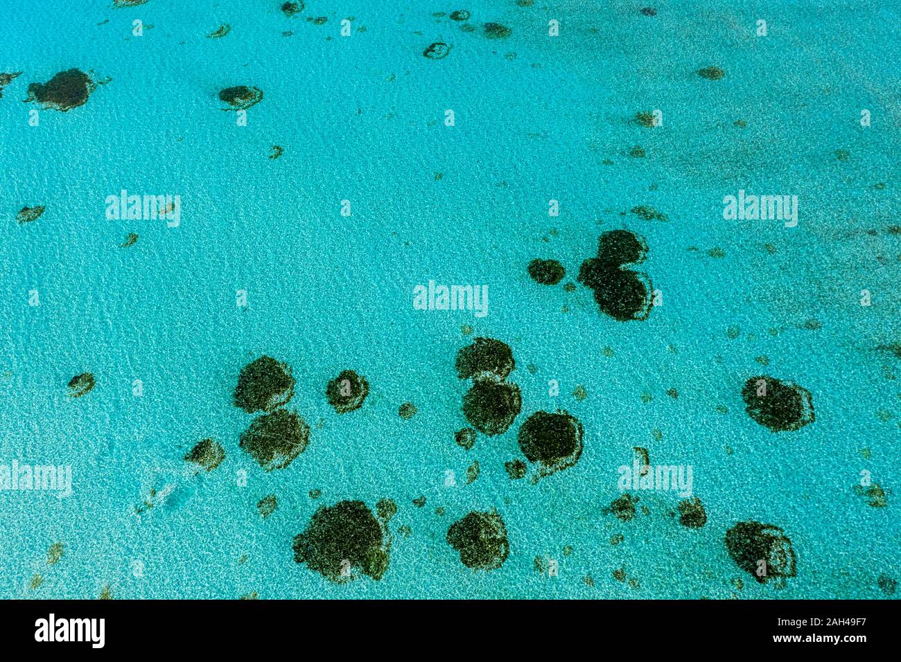 Maldives, South Male Atoll, Aerial view of coral reef Stock Photo - Alamy