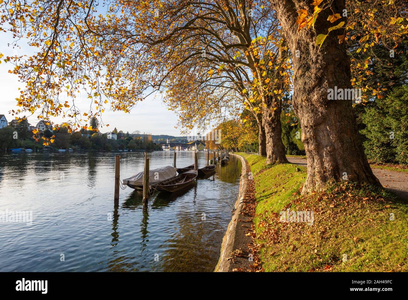 Switzerland, canton Schaffhausen, View of Rhine river and trees Stock Photo