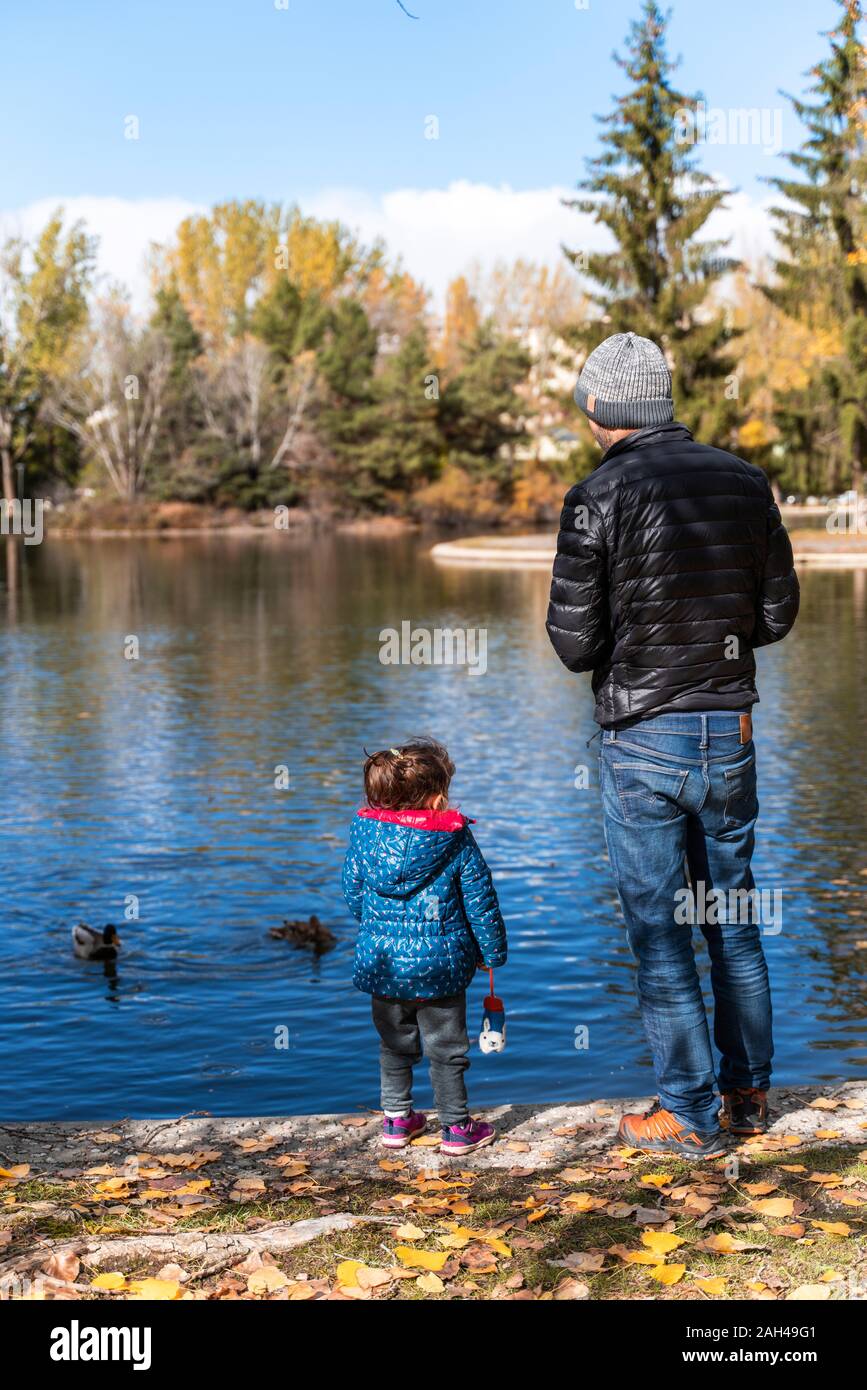 Back view of father and little daughter standing at lakeshore feeding ducks Stock Photo
