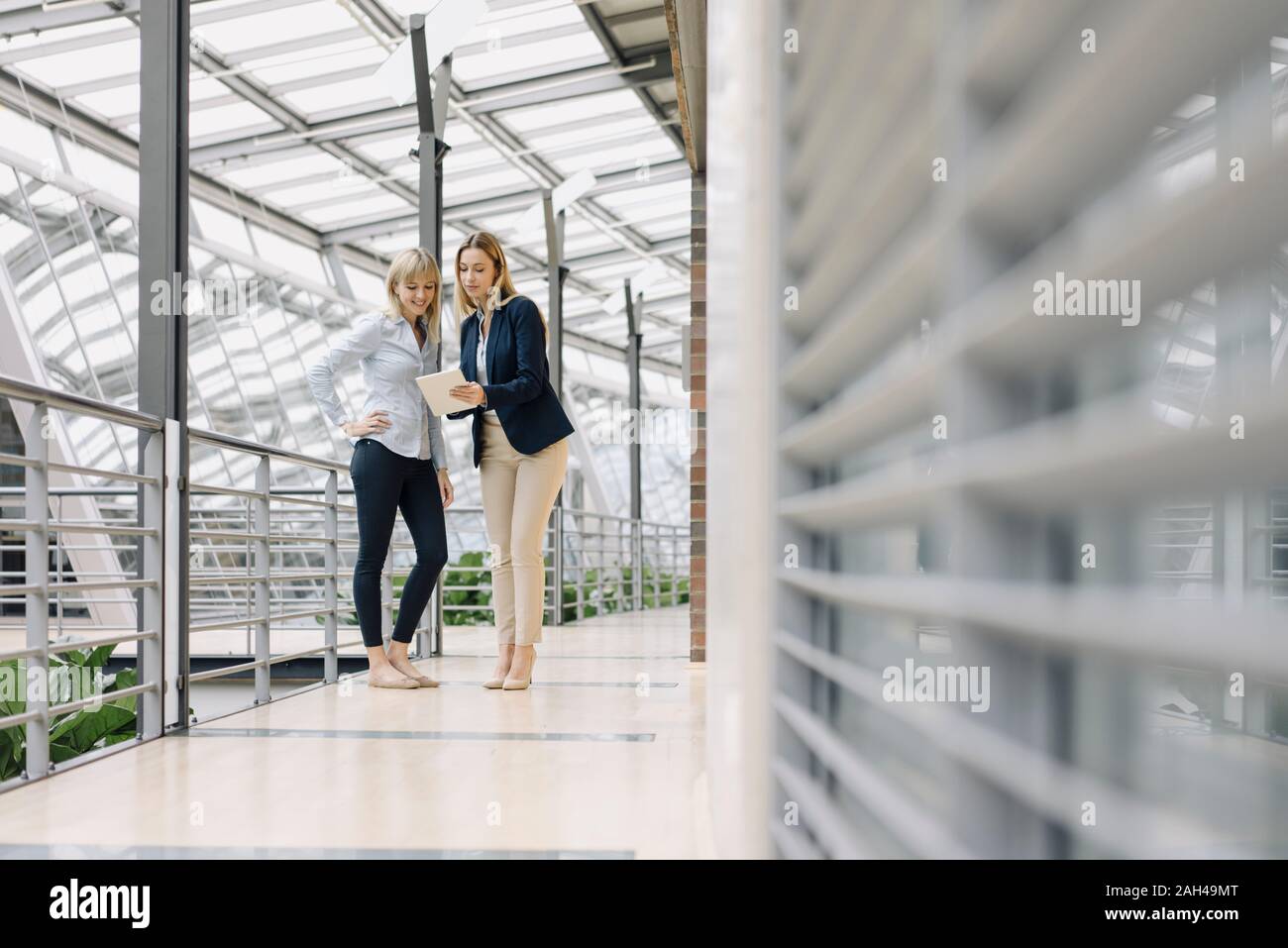 Two young businesswomen sharing tablet in modern office building Stock Photo