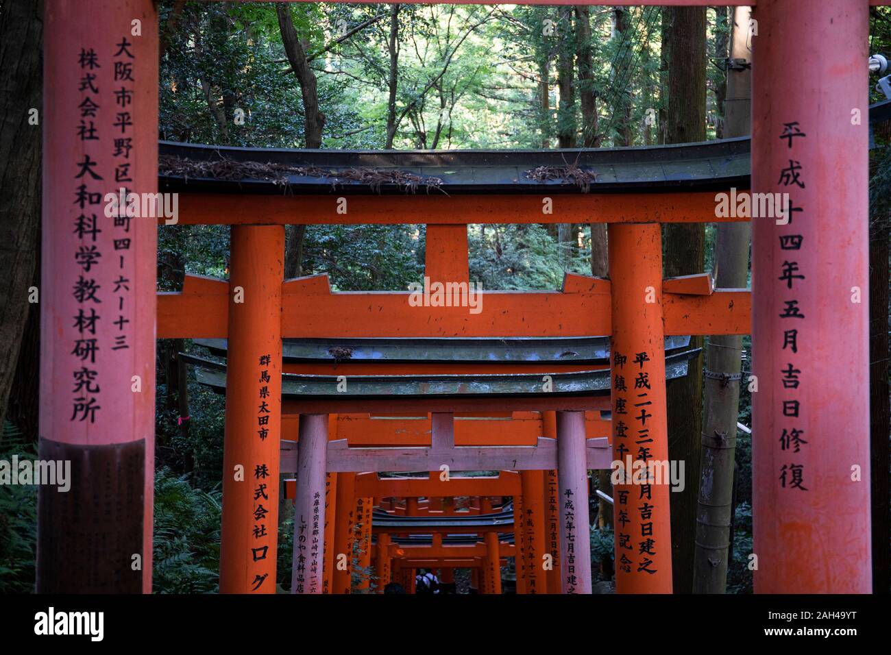 Japan, Kyoto Prefecture, Kyoto City, Kanji on torii gates leading to Fushimi Inari-taisha temple Stock Photo