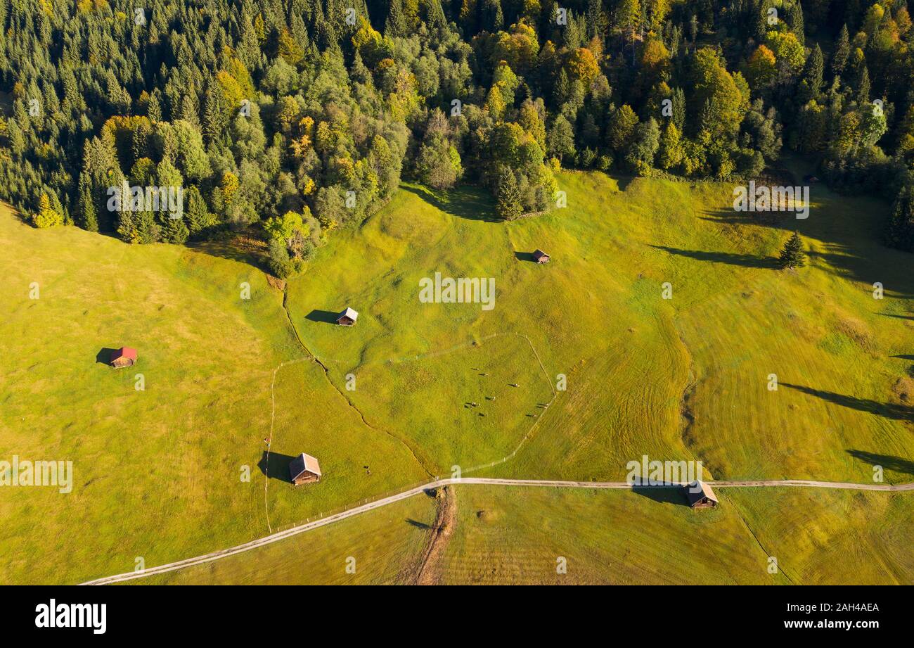 Germany, Upper Bavaria, Werdenfelser Land, Krun, Aerial view of green fields on sunny day Stock Photo