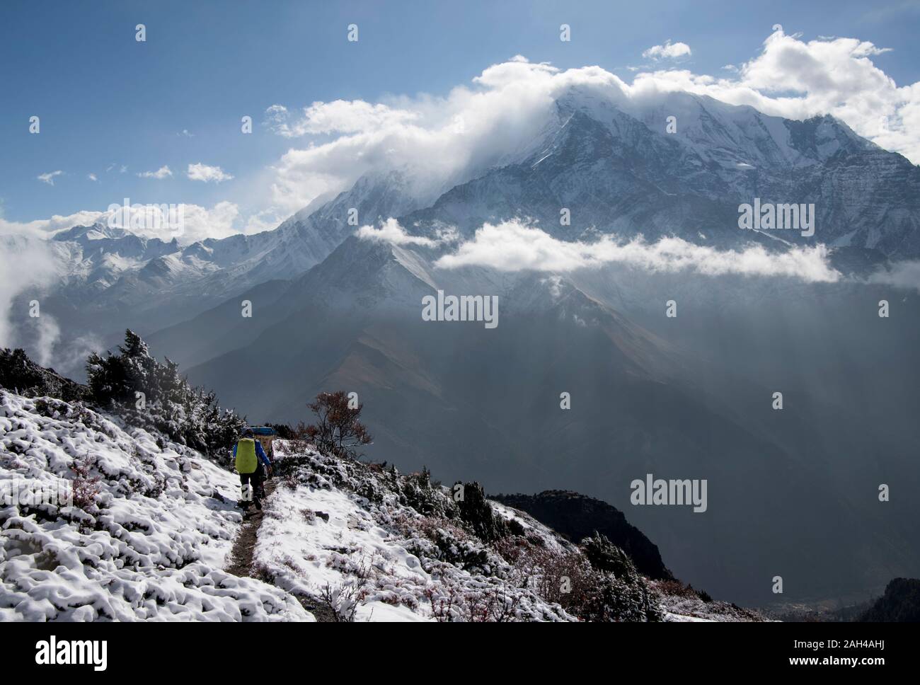 Yak Kharka, Nilgiri, Dhaulagiri Circuit Trek, Himalaya, Nepal Stock Photo