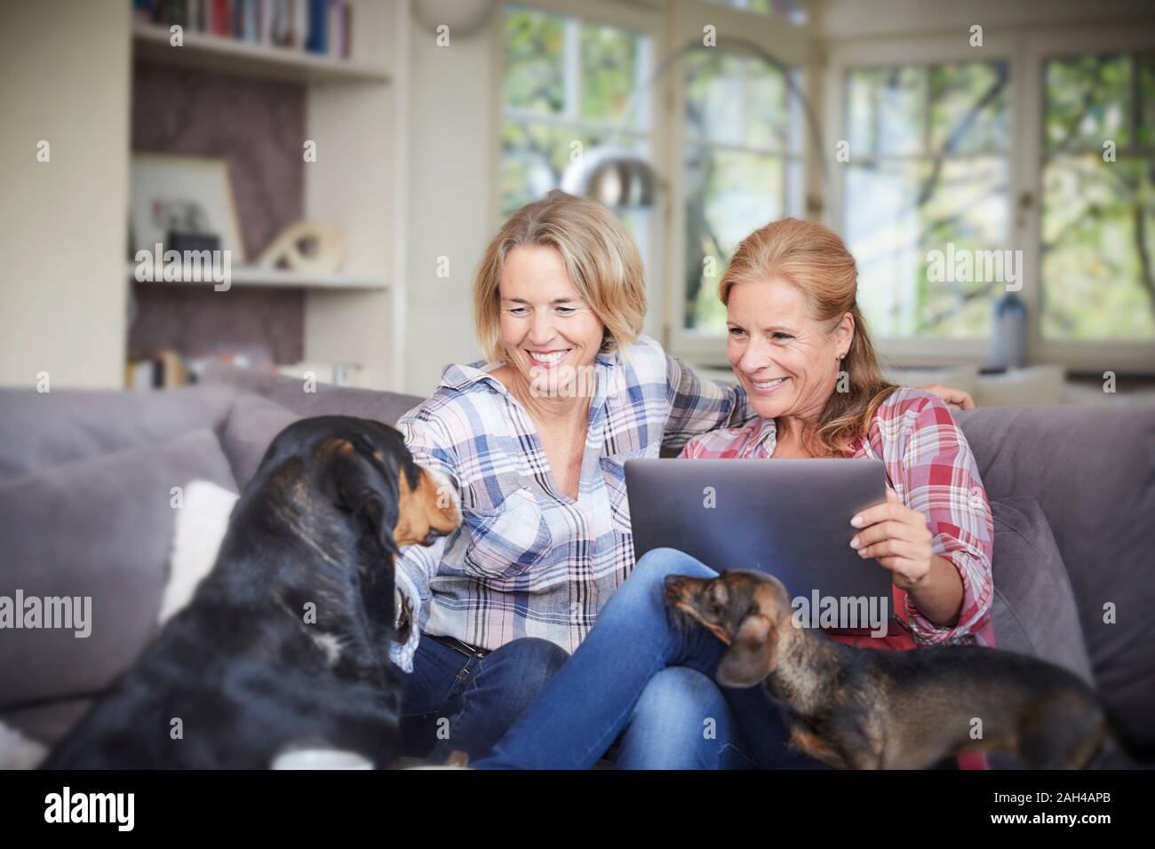 Two happy mature women with dog and laptop at home Stock Photo