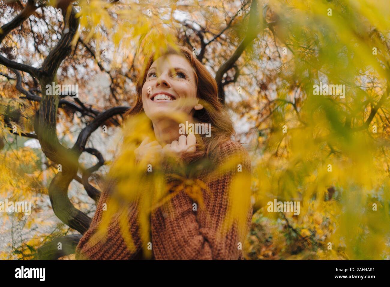Portrait of a happy woman in autumn Stock Photo