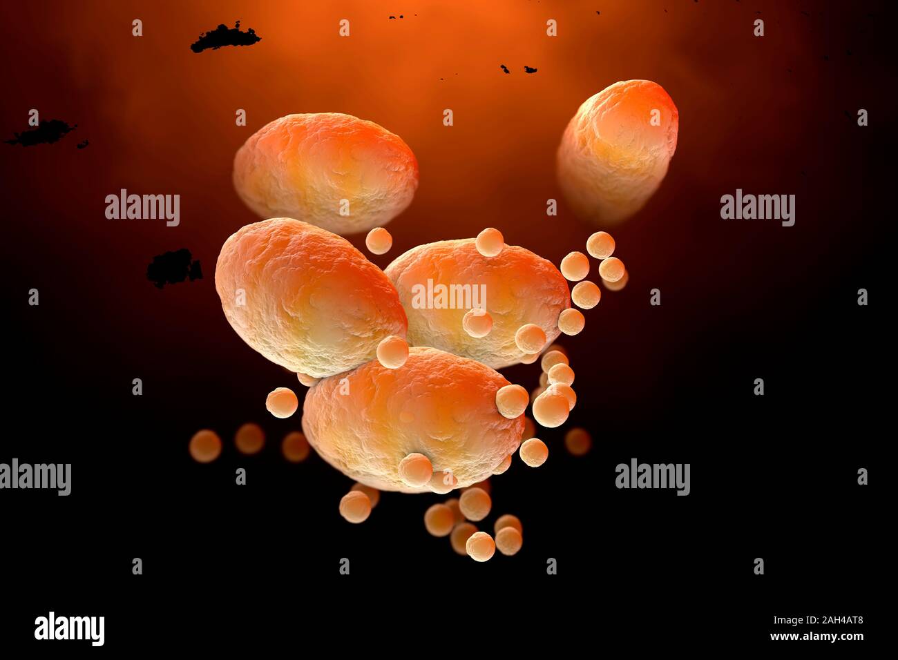 Three dimensional render of fat cells clogging together in human body Stock Photo