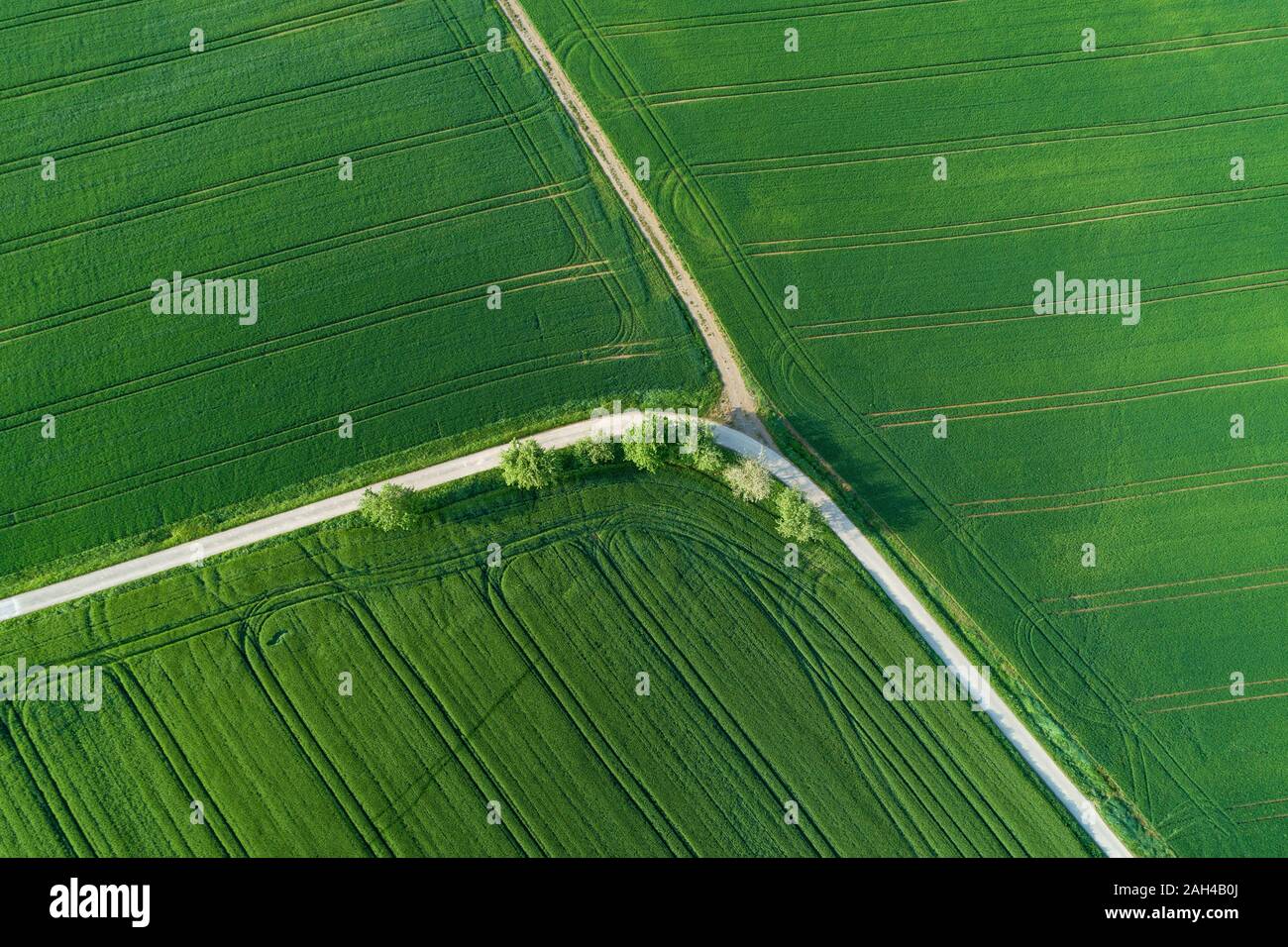 Germany, Bavaria, Aerial view of country roads cutting through green countryside fields in spring Stock Photo