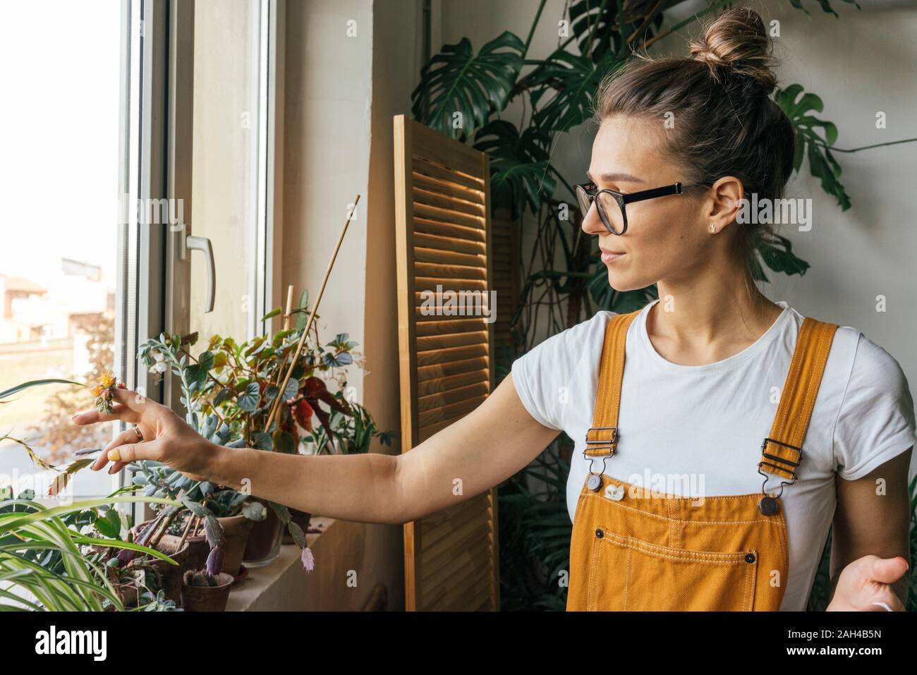 Young woman caring for plants on window sill Stock Photo