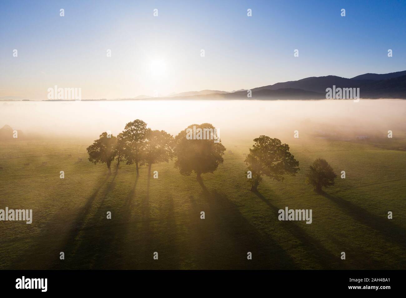 Germany, Upper Bavaria, Greiling, Aerial view of fields in fog at sunrise Stock Photo
