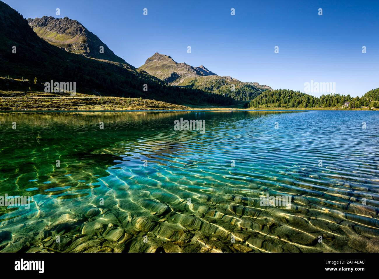 Austria, East Tyrol, Clear transparent lake in Defereggen Valley Stock Photo