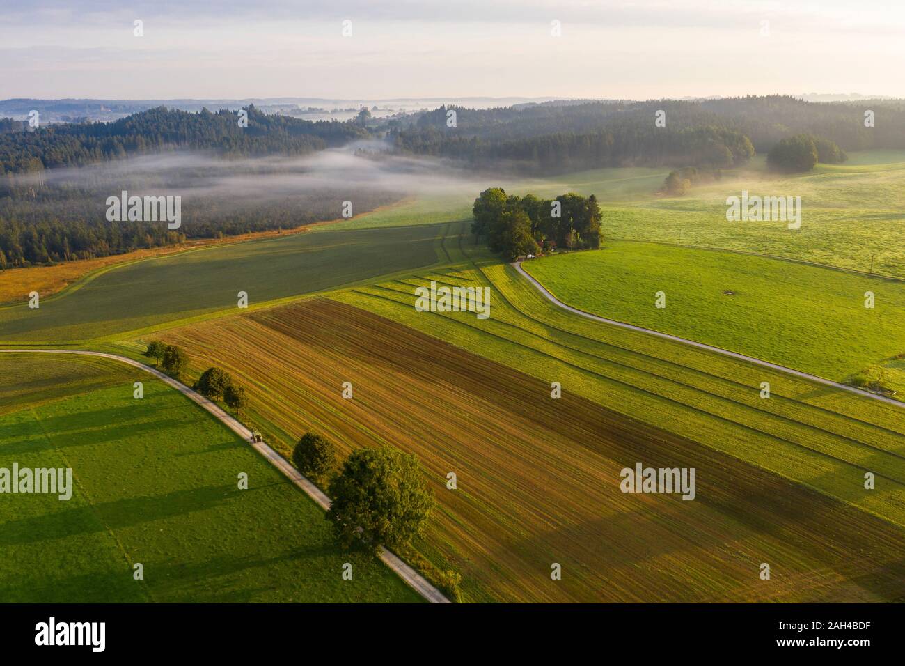 Germany, Bavaria, Dietramszell, Aerial view of countryside fields at foggy dawn Stock Photo
