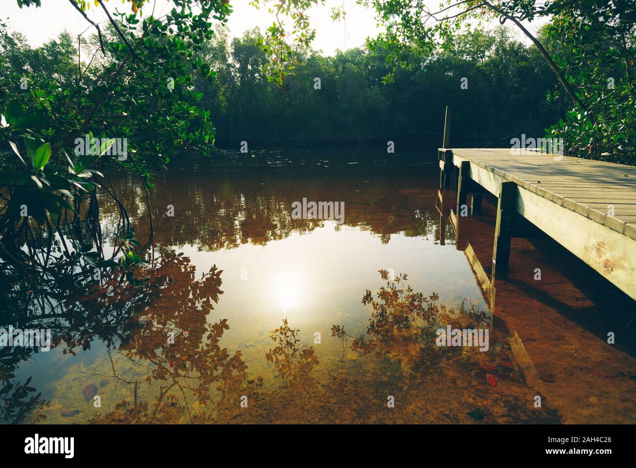 USA, Florida, Lakeshore jetty in Everglades National Park at sunset Stock Photo
