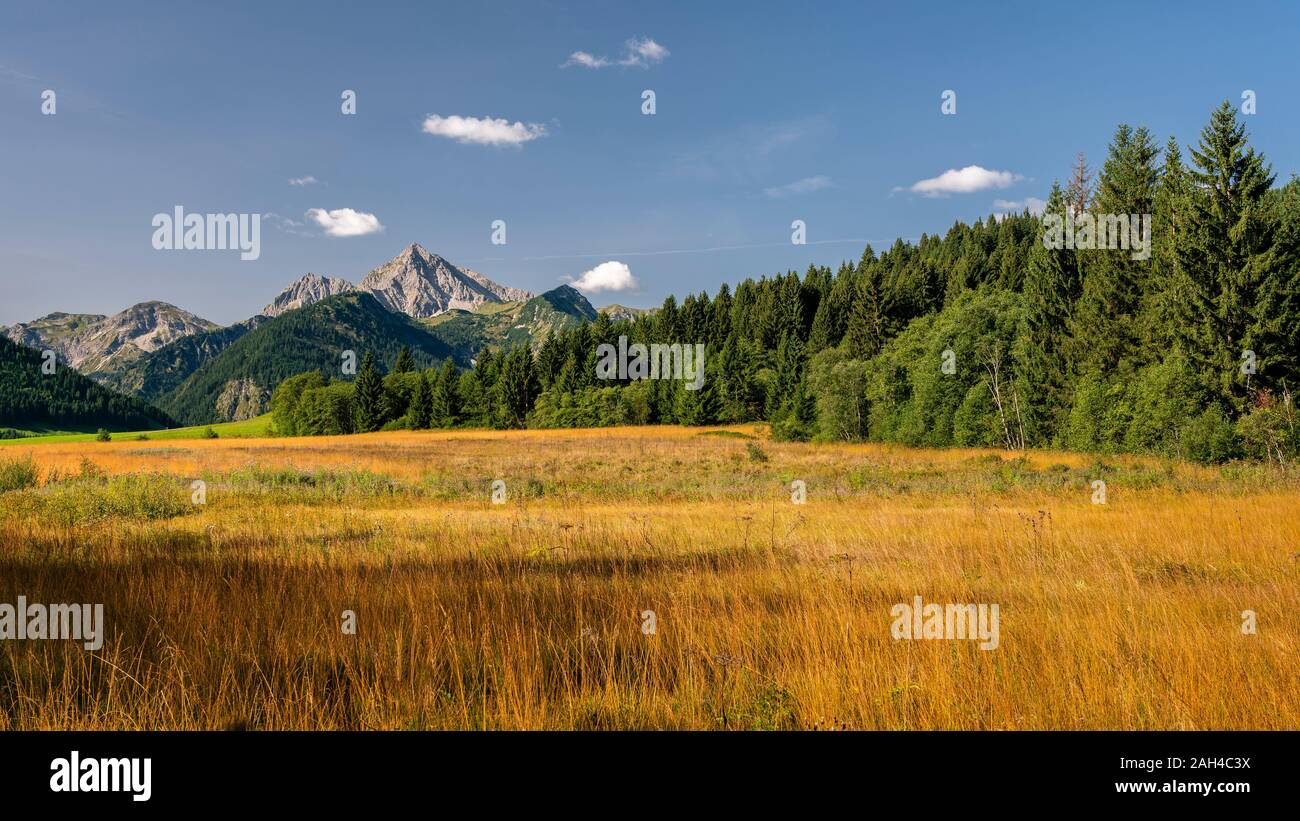 Austria, Tyrol, Scenic view of Tannheim Valley in Allgau Alps Stock Photo