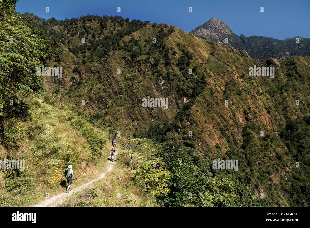 Trekking group at Dobang, Dhaulagiri Circuit Trek, Himalaya, Nepal Stock Photo