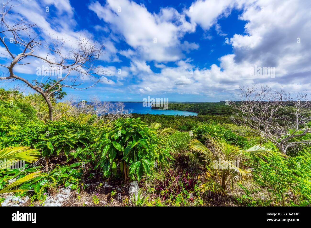 New Caledonia, Lifou, view to south pacific Stock Photo