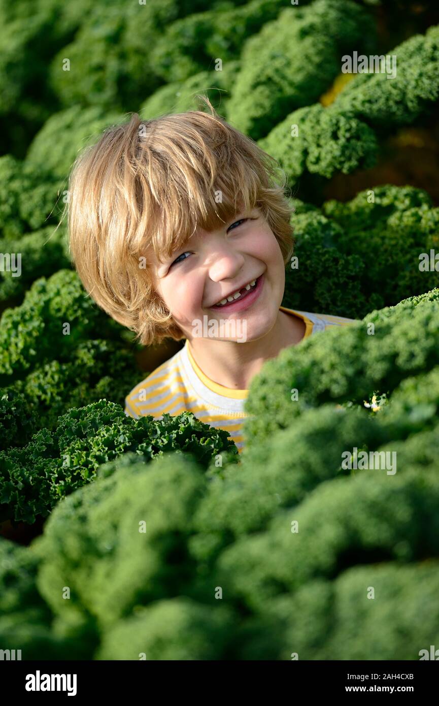 Boy in a kali field Stock Photo