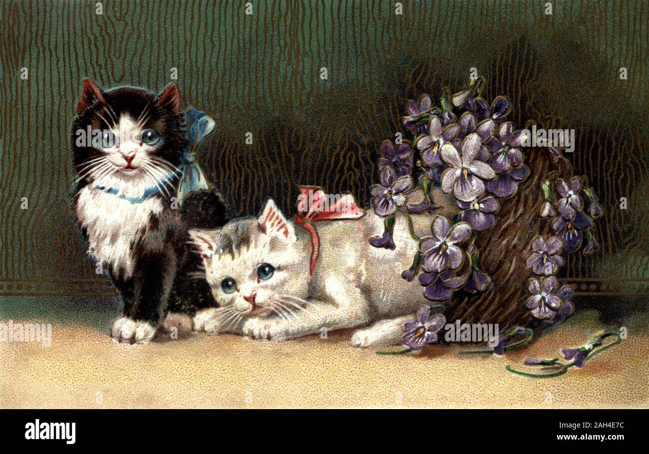 Two cats, bows on their necks, with a boquet of purple lilac flowers. Vintage Holiday Postcard Greeting card Stock Photo
