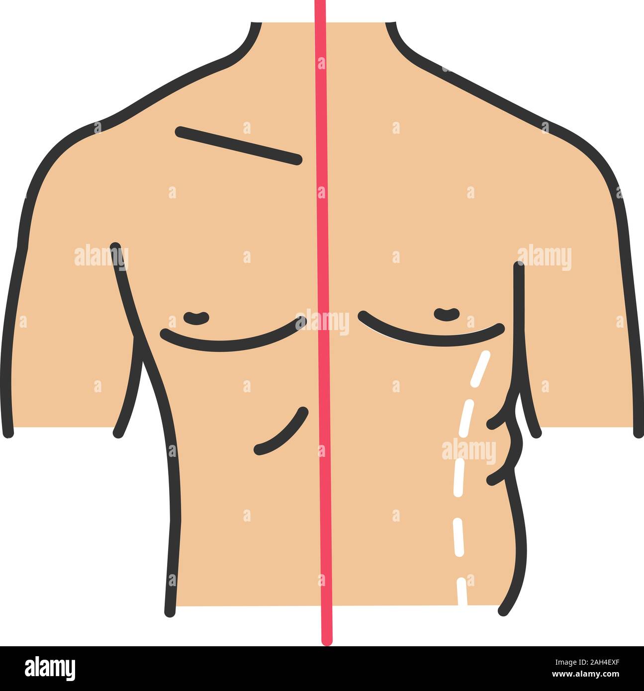 Male Waist, Sides and Flanks