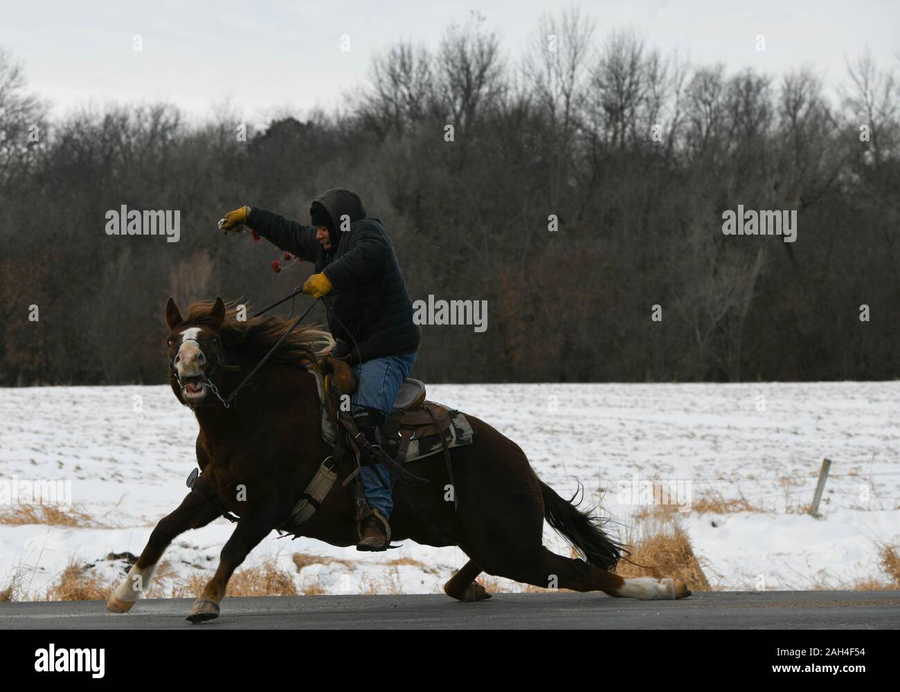 Abraham Lincoln And Horse High Resolution Stock Photography and Images