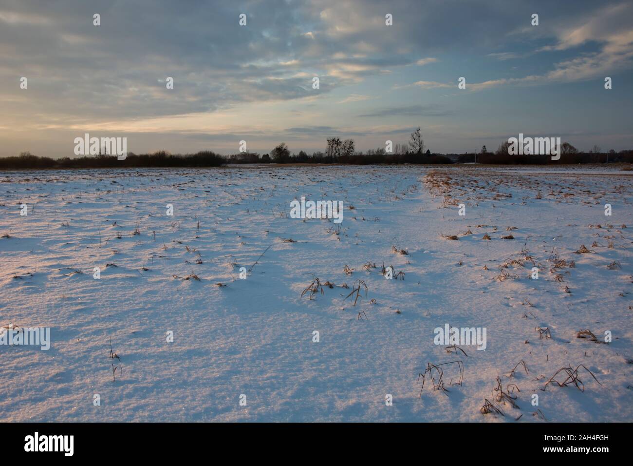 Snow on field, evening clouds Stock Photo