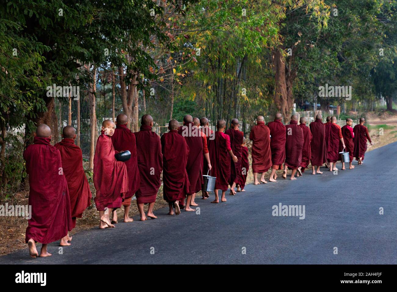 Monks lined up walk on the road to collect alms, in Inle Lake, Myanmar Stock Photo