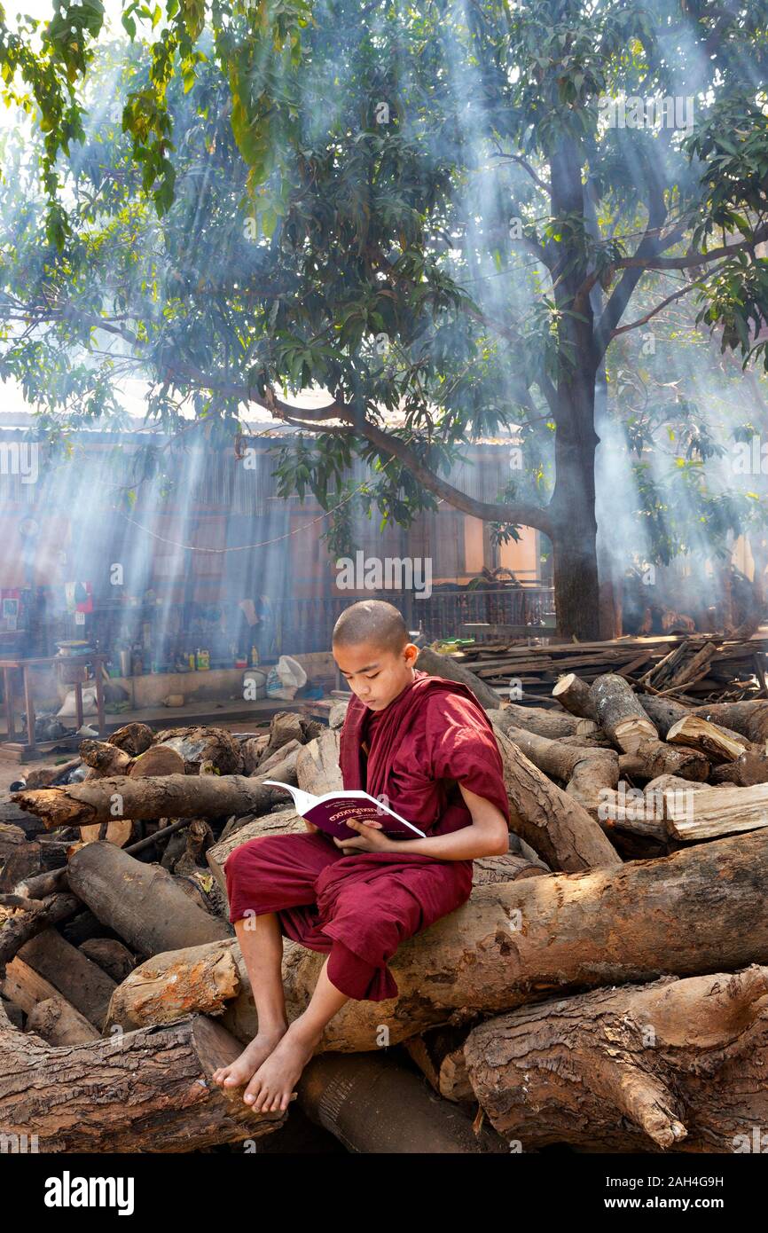 Young monk reading and studying in the garden of the monastery with light rays in the background, in Mandalay, Myanmar Stock Photo