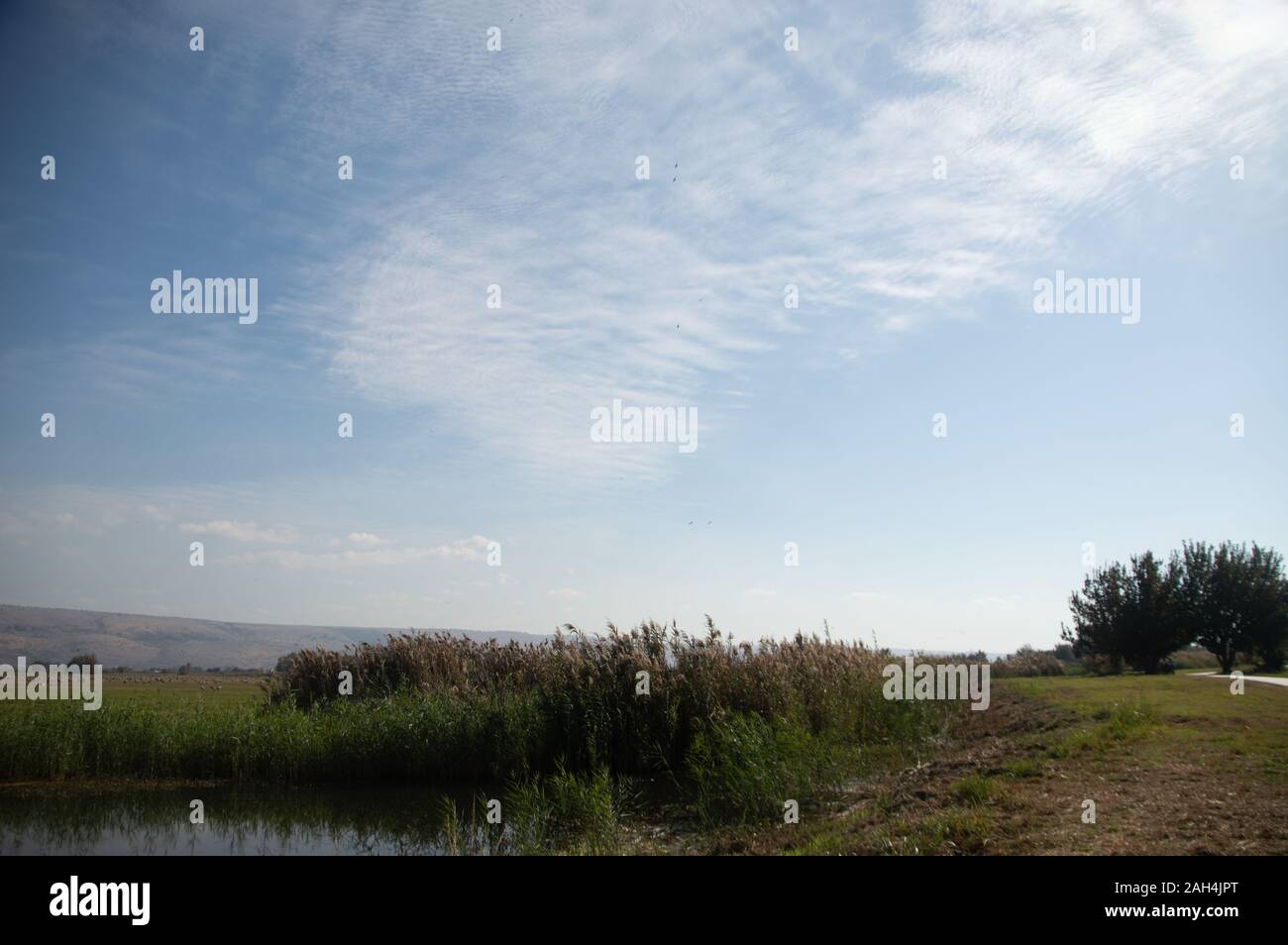 The beauty of nature Stock Photo - Alamy