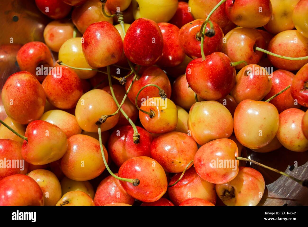 Group cherries hires stock photography and images Alamy