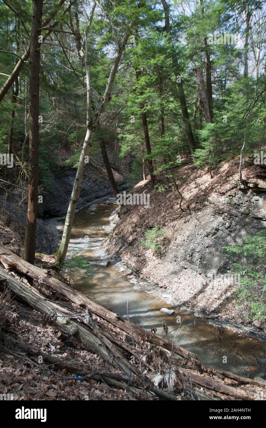 Bridal Veil Falls, Cuyahoga Valley National Park, Ohio Stock Photo Alamy