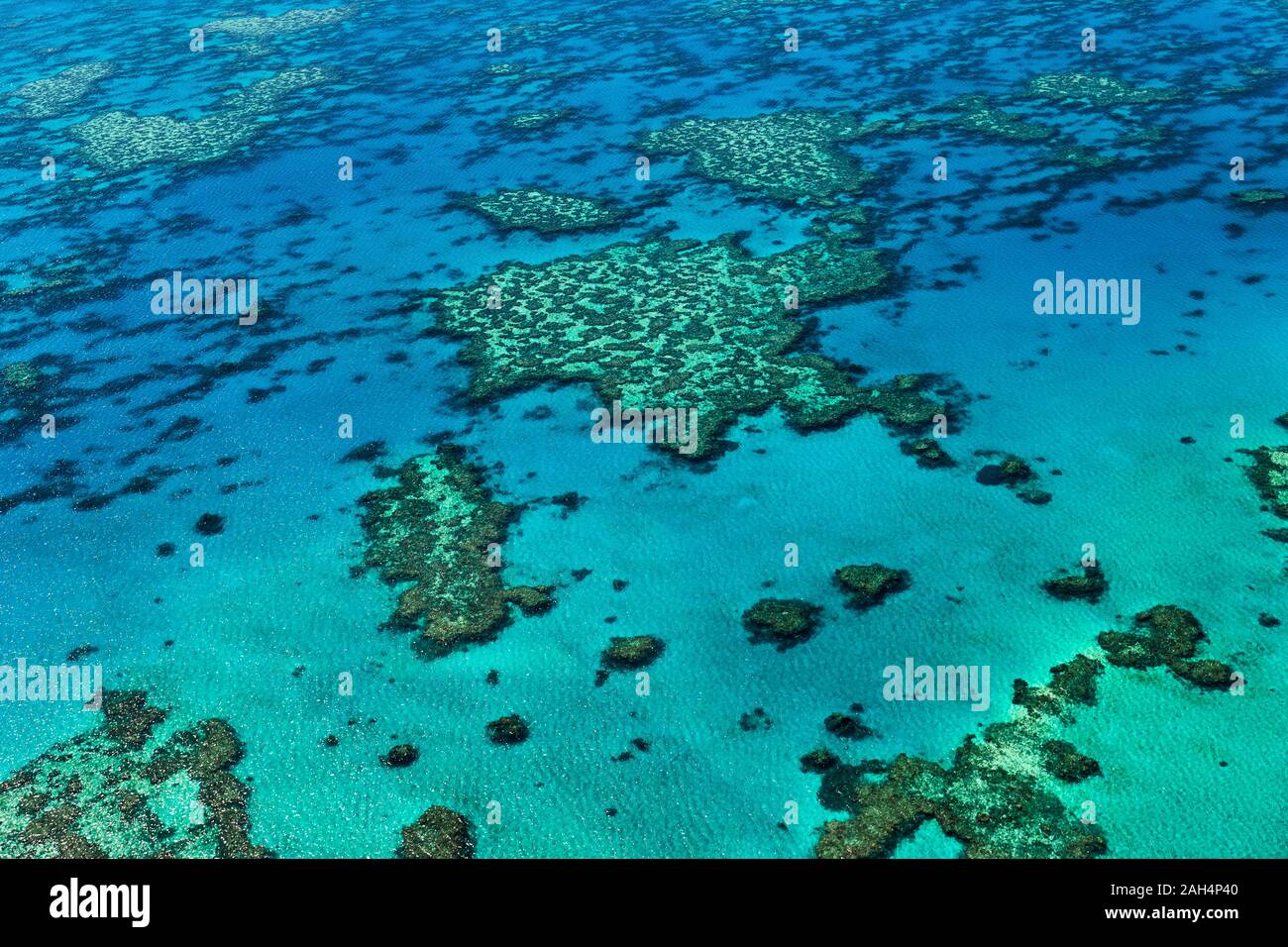 Continental Shelf Underwater High Resolution Stock Photography and