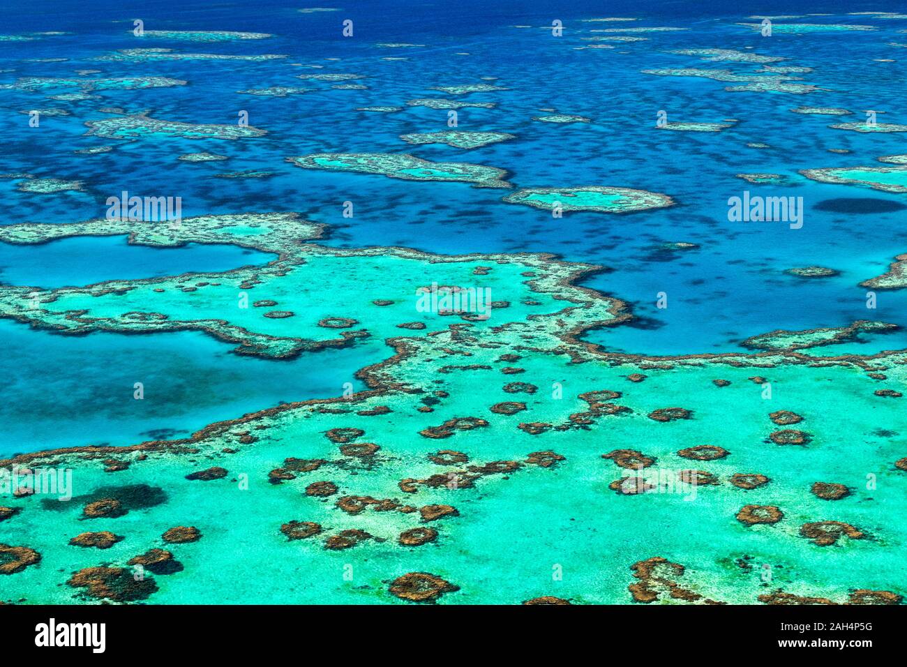Continental Shelf Underwater High Resolution Stock Photography and Images Alamy