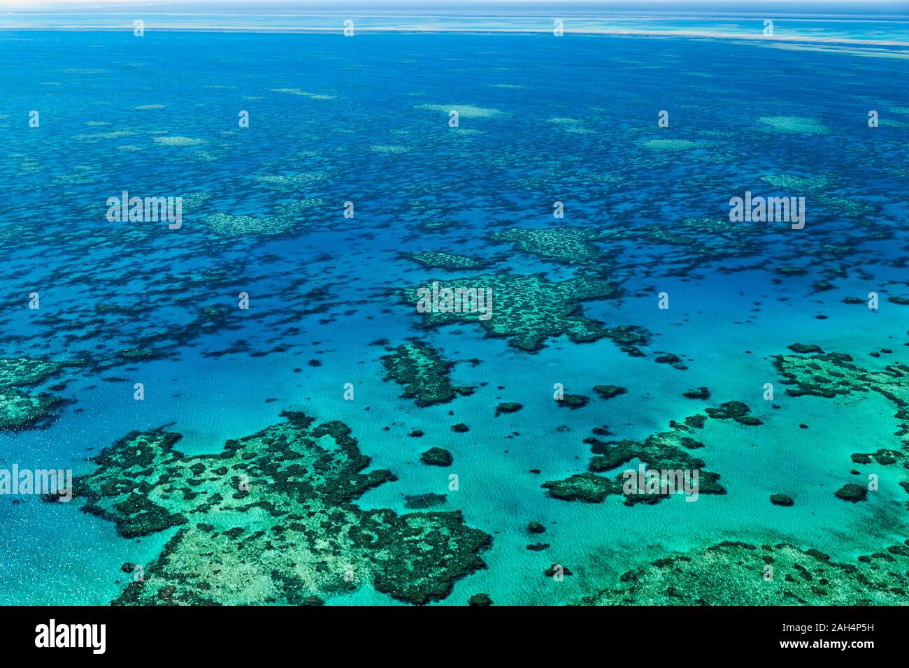 Continental Shelf Underwater High Resolution Stock Photography and Images Alamy