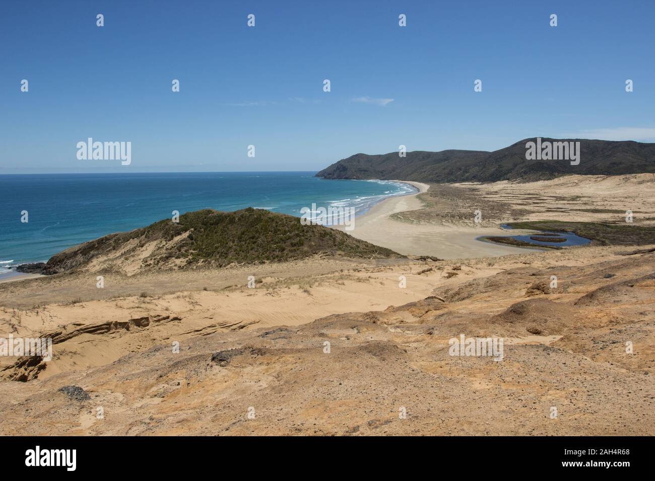 Te Werahi Beach and Cape Reinga as seen from the cream clay hills of the Te Paki Coastal Track, a four day hiking trail in Northland, New Zealand. Stock Photo