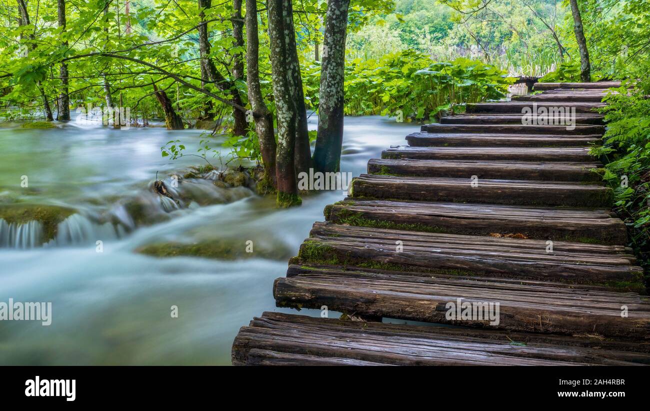 A long exposure image of water flowing beside a wooden boardwalk in the green forest of Plitvice Lakes National Park in Croatia. Stock Photo