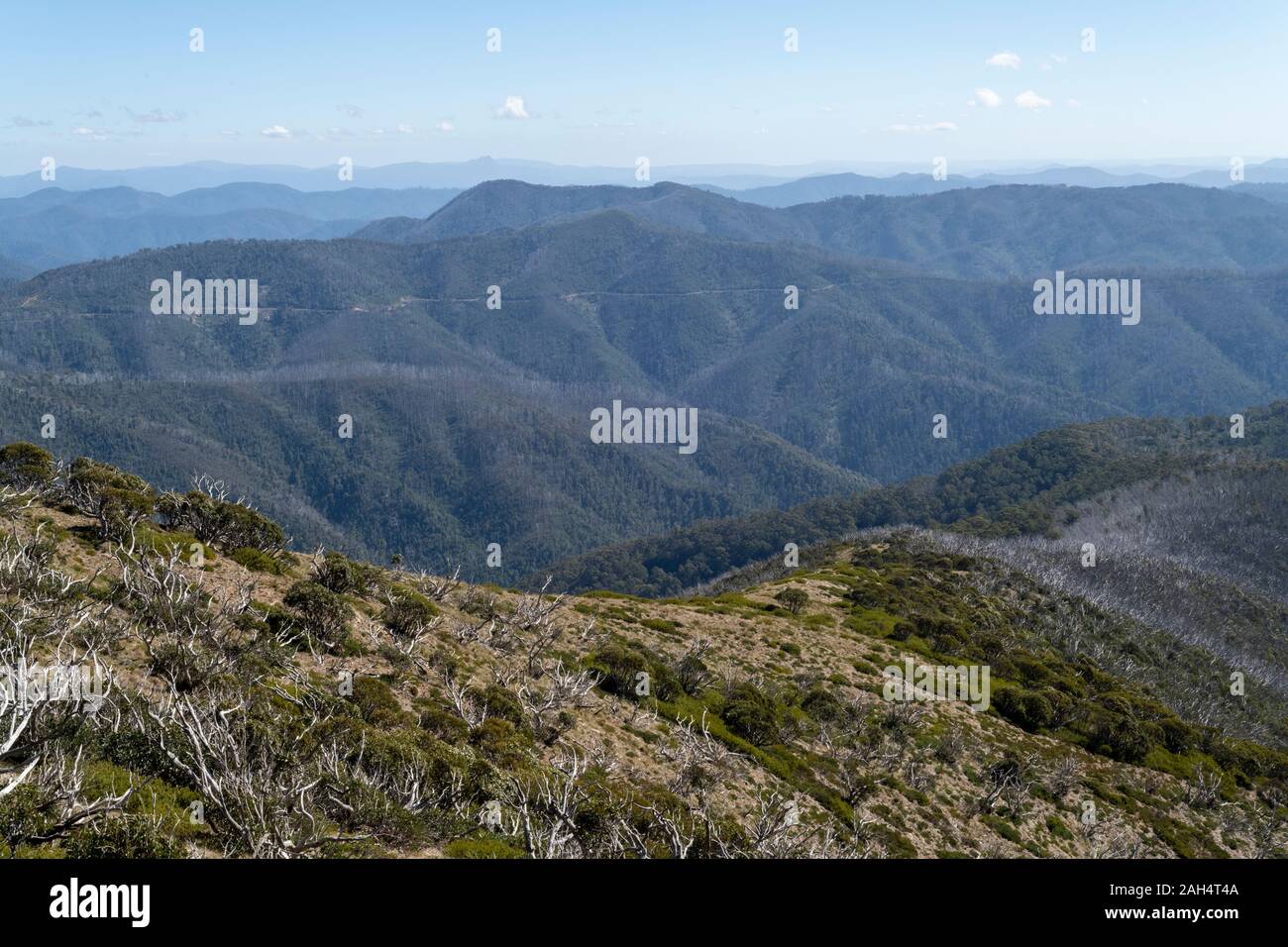 The Australian Alps near Mount Hotham, during summer. Stock Photo