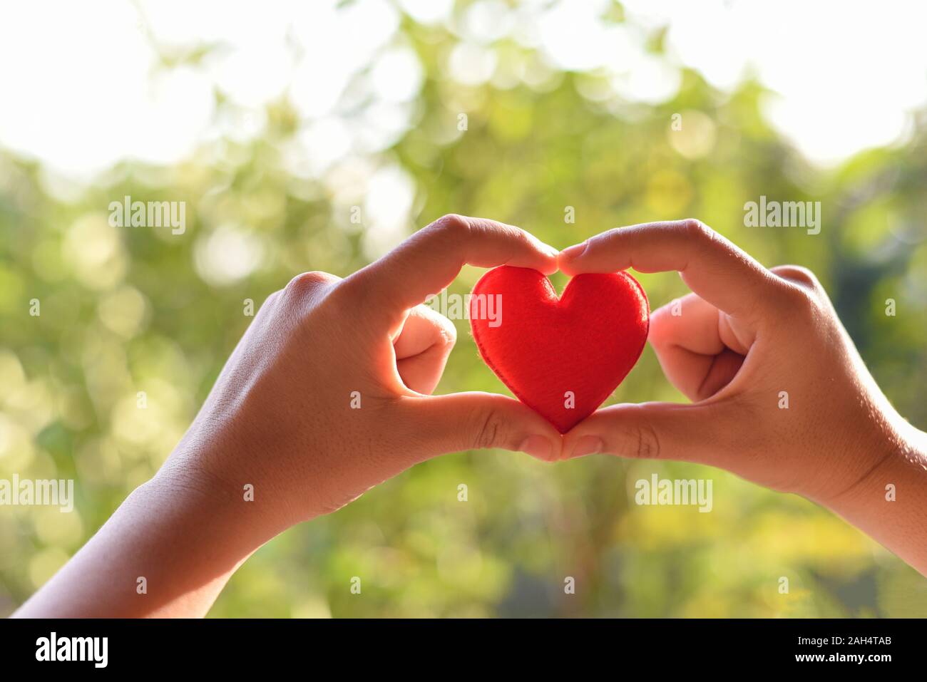Heart In Hand For Philanthropy Concept Woman Holding Red Heart In Hands For Valentines Day Or Donate Help Give Love Warmth Take Care Stock Photo Alamy