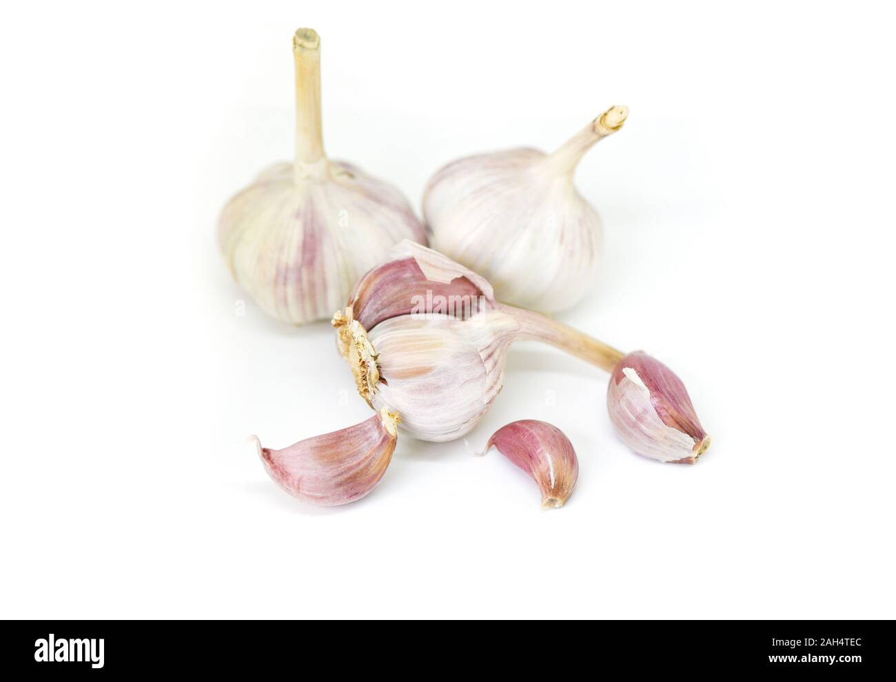Garlic Cloves and fresh garlic bulb isolated on white background for ...
