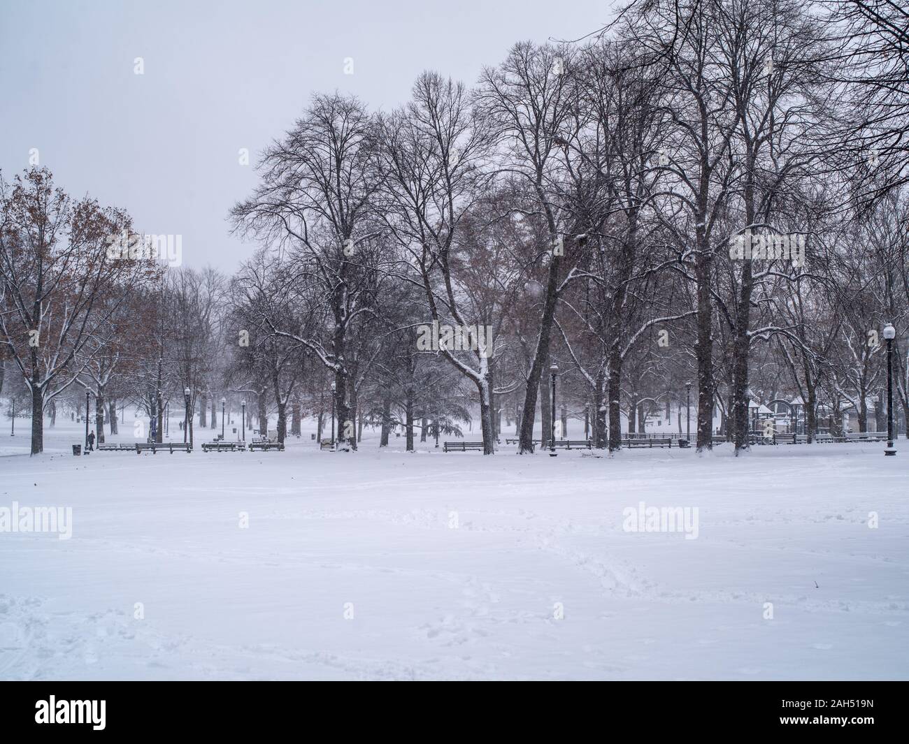 A city park as snow falls with trees and lamps Stock Photo - Alamy
