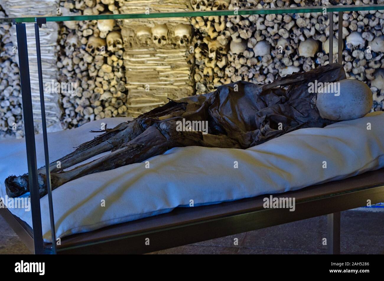 Human corpse on display in the Chapel of Bones, church of saint Francis