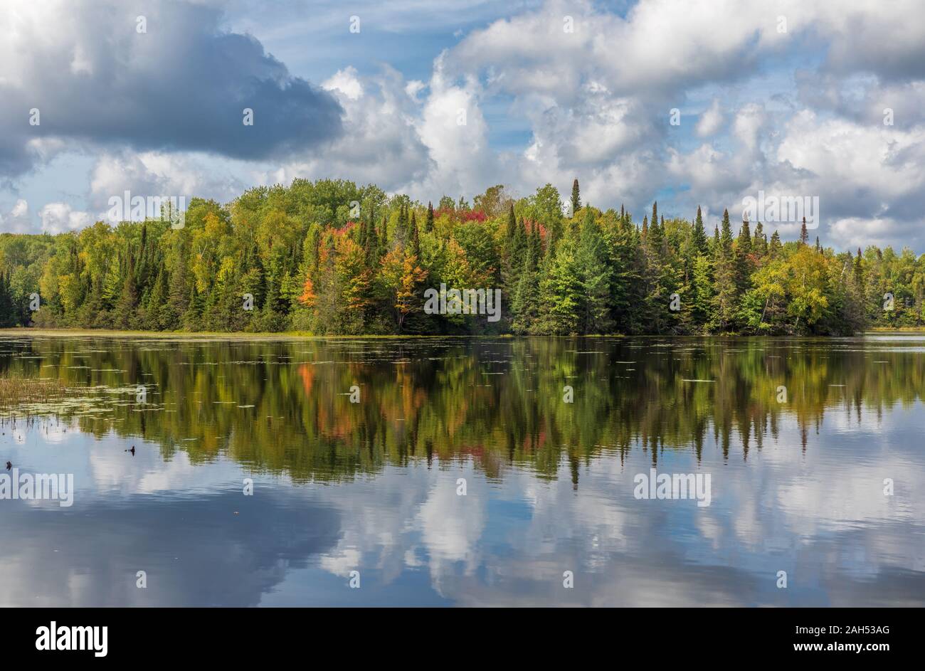 Day Lake in the ChequamegonNicolet National Forest in early September