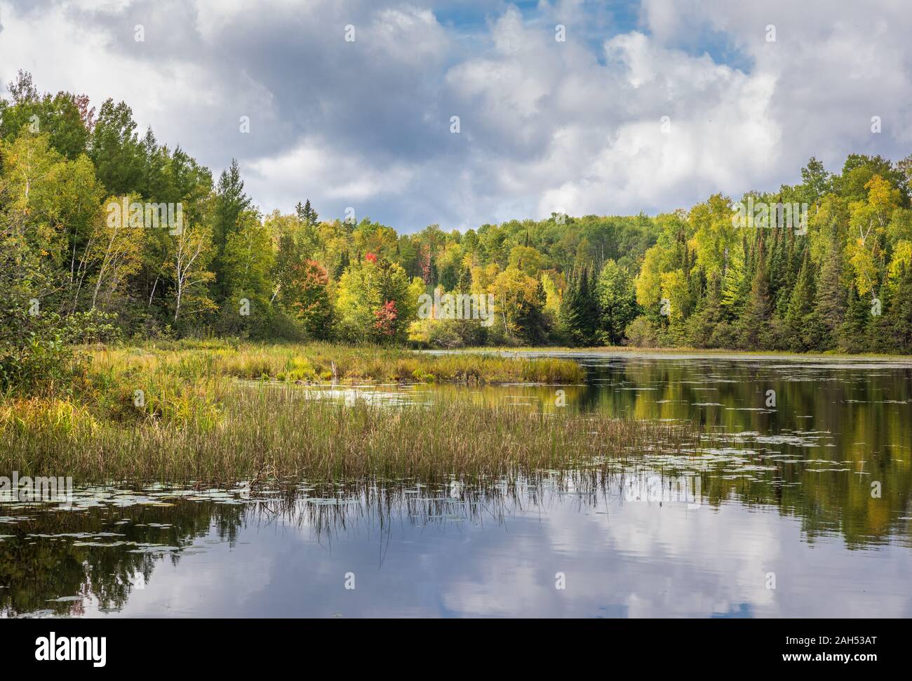 Day Lake in the ChequamegonNicolet National Forest in early September Stock Photo Alamy