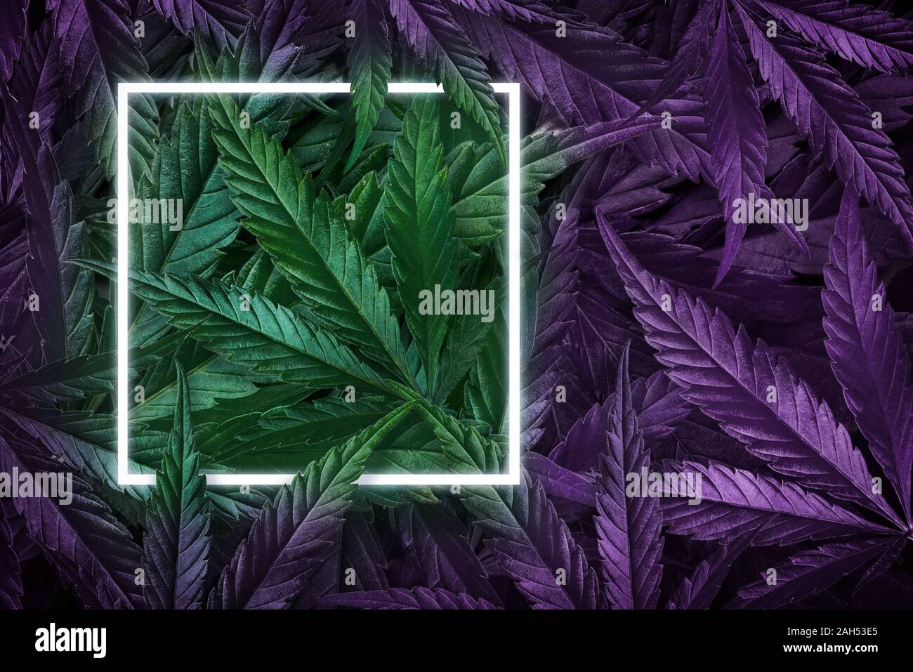 Cannabis lamps hi-res stock photography and images - Alamy