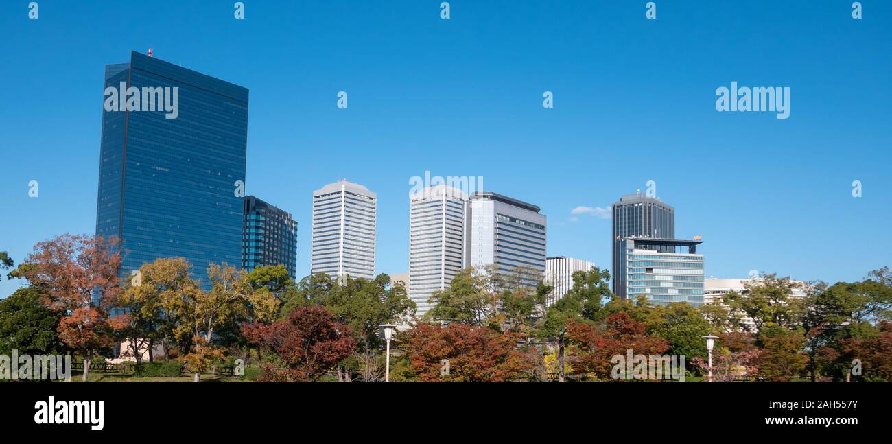 Gallery image with a fresh perspective