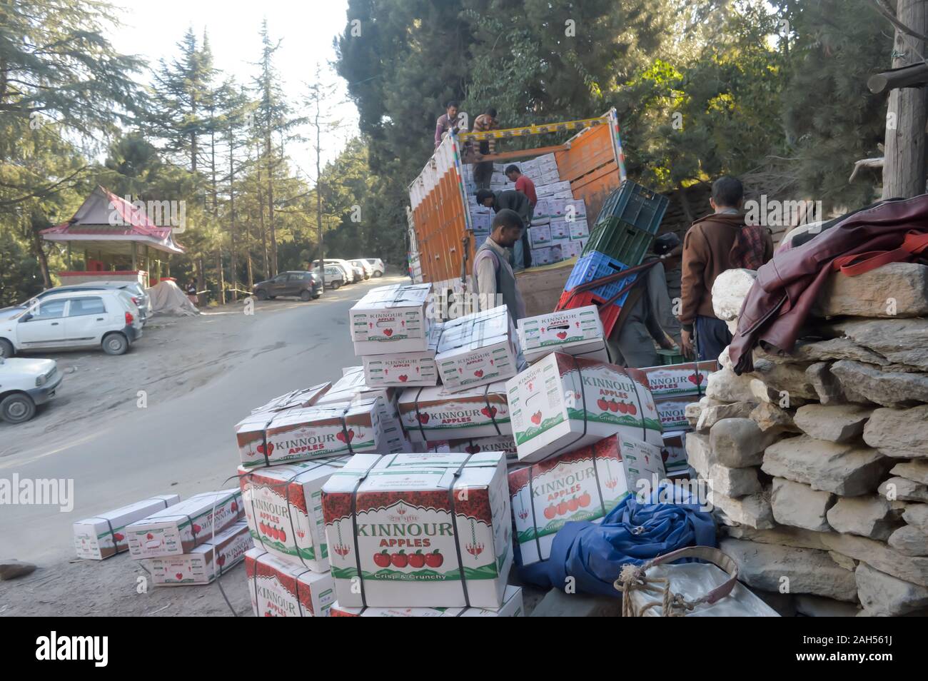 Box packed harvested apple fruits ready for trade in autumn season. Kashmir is the prime source of all apple production in India. Kinnaur District, Hi Stock Photo