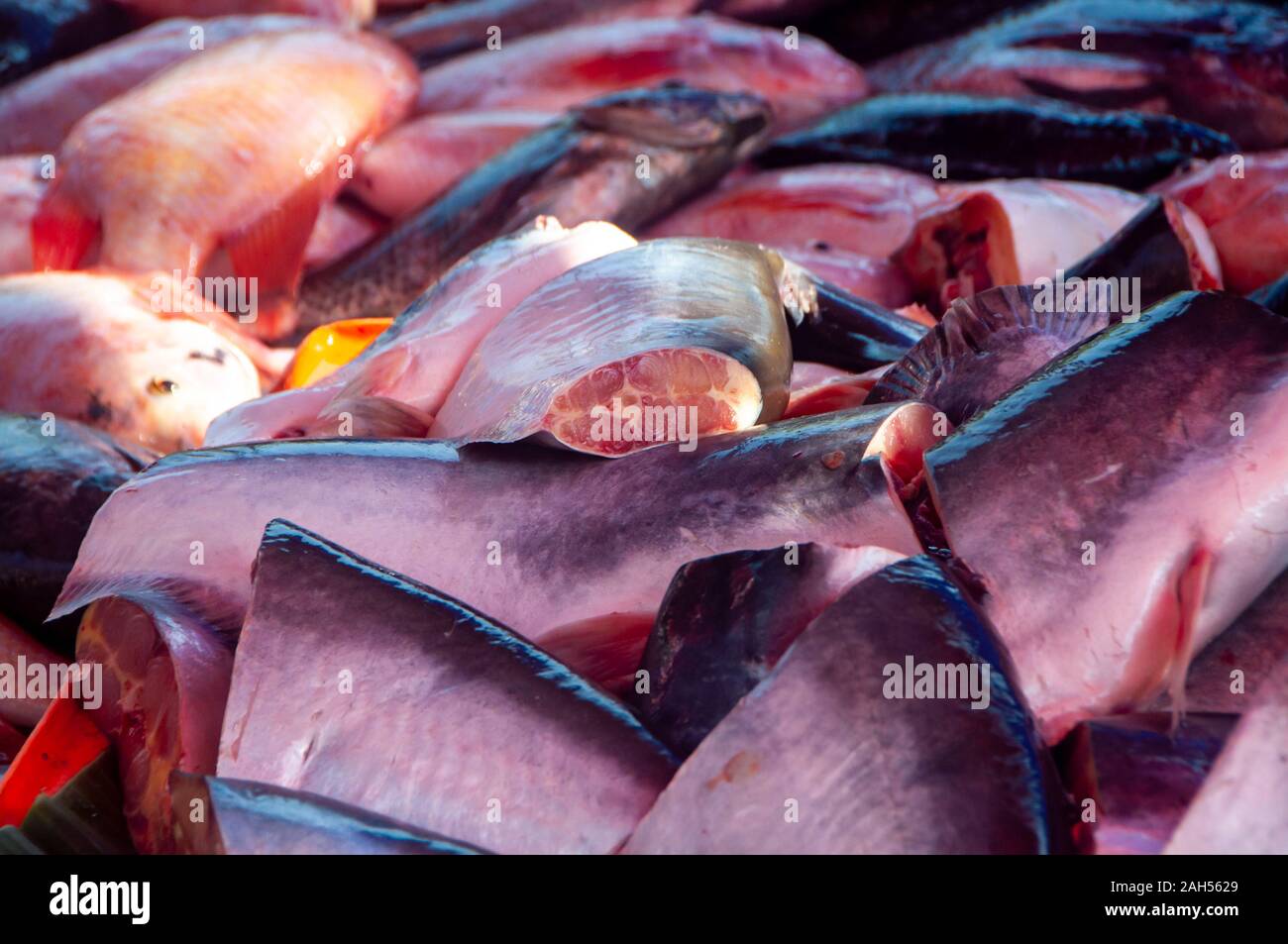 Pile of fillet of fish Pangasius on market stall Stock Photo