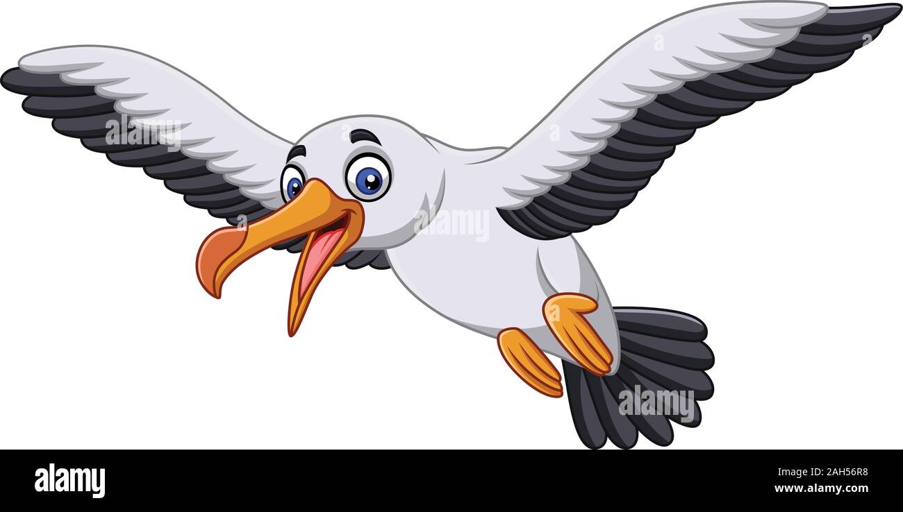 Cartoon albatross bird flying Stock Vector Image & Art - Alamy